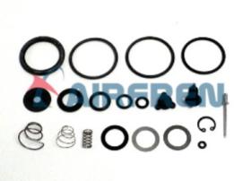 AIR 10R611005 - KIT.REPARACION SECADOR